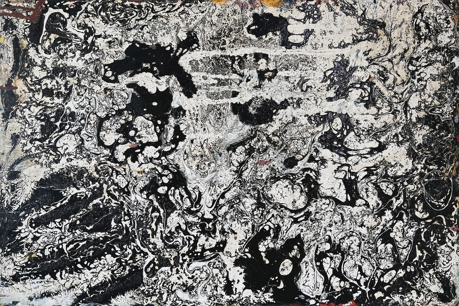 Untitled (Snowy Tree Study 1)